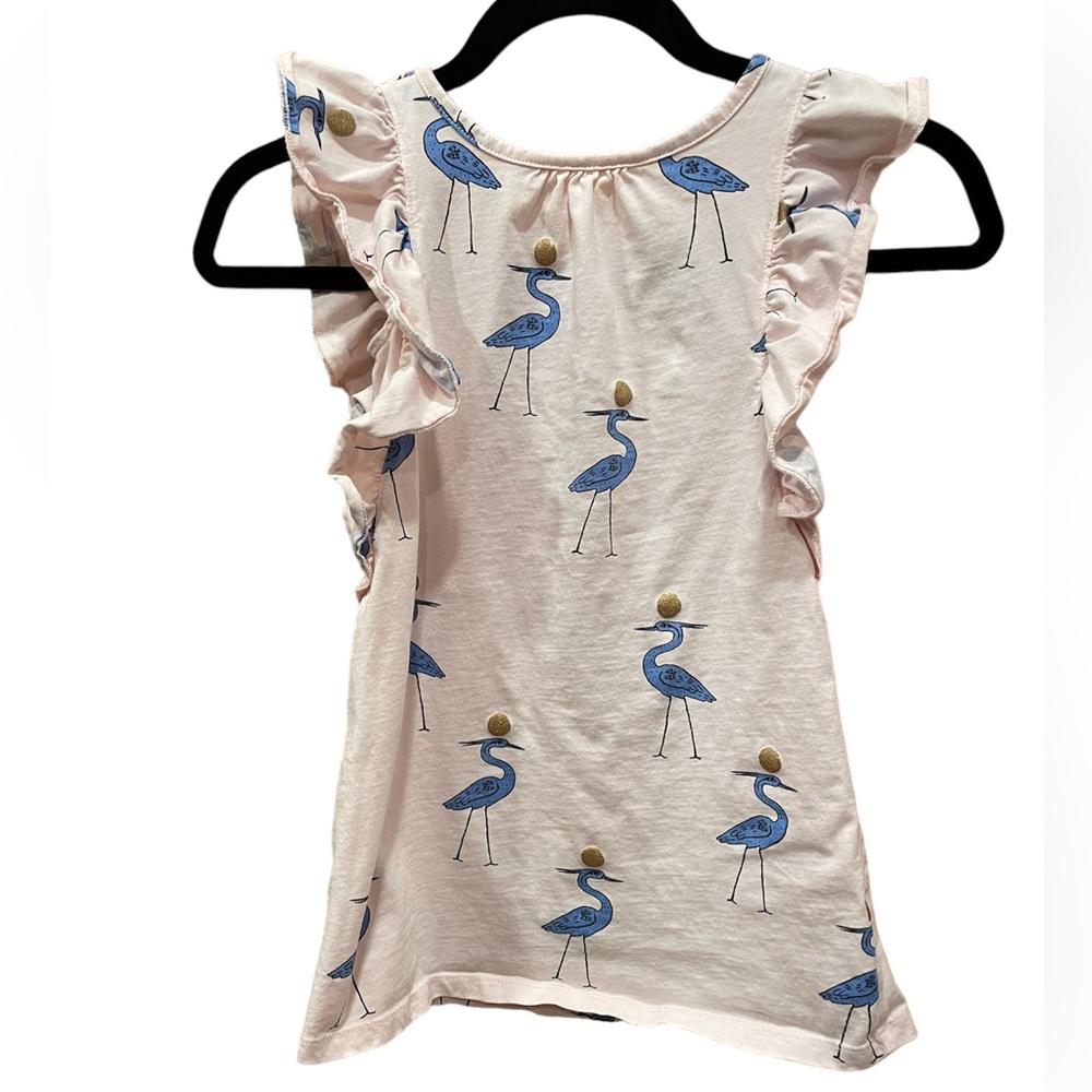 Tea Shirt Dress in size 4T